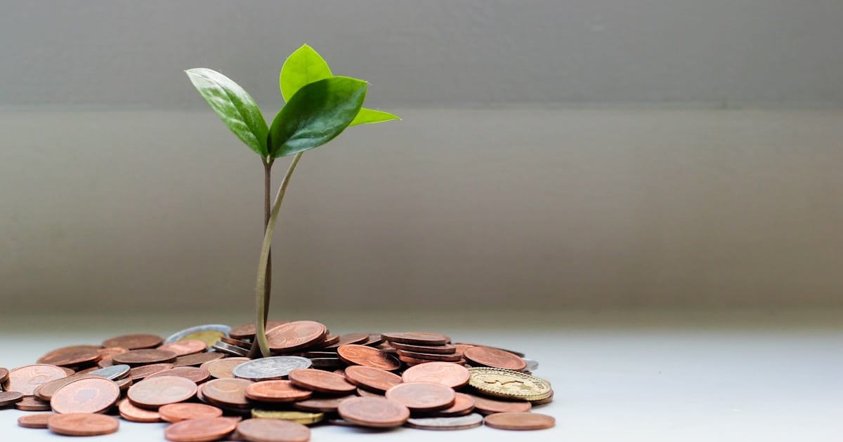 Plant growing from pile of coins